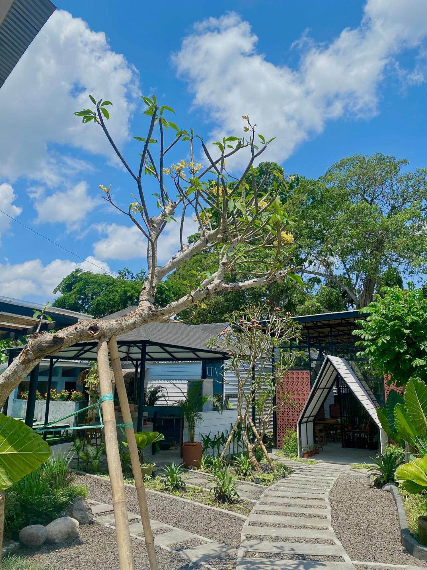 The Jungle Hostel Canggu Exteriér fotografie