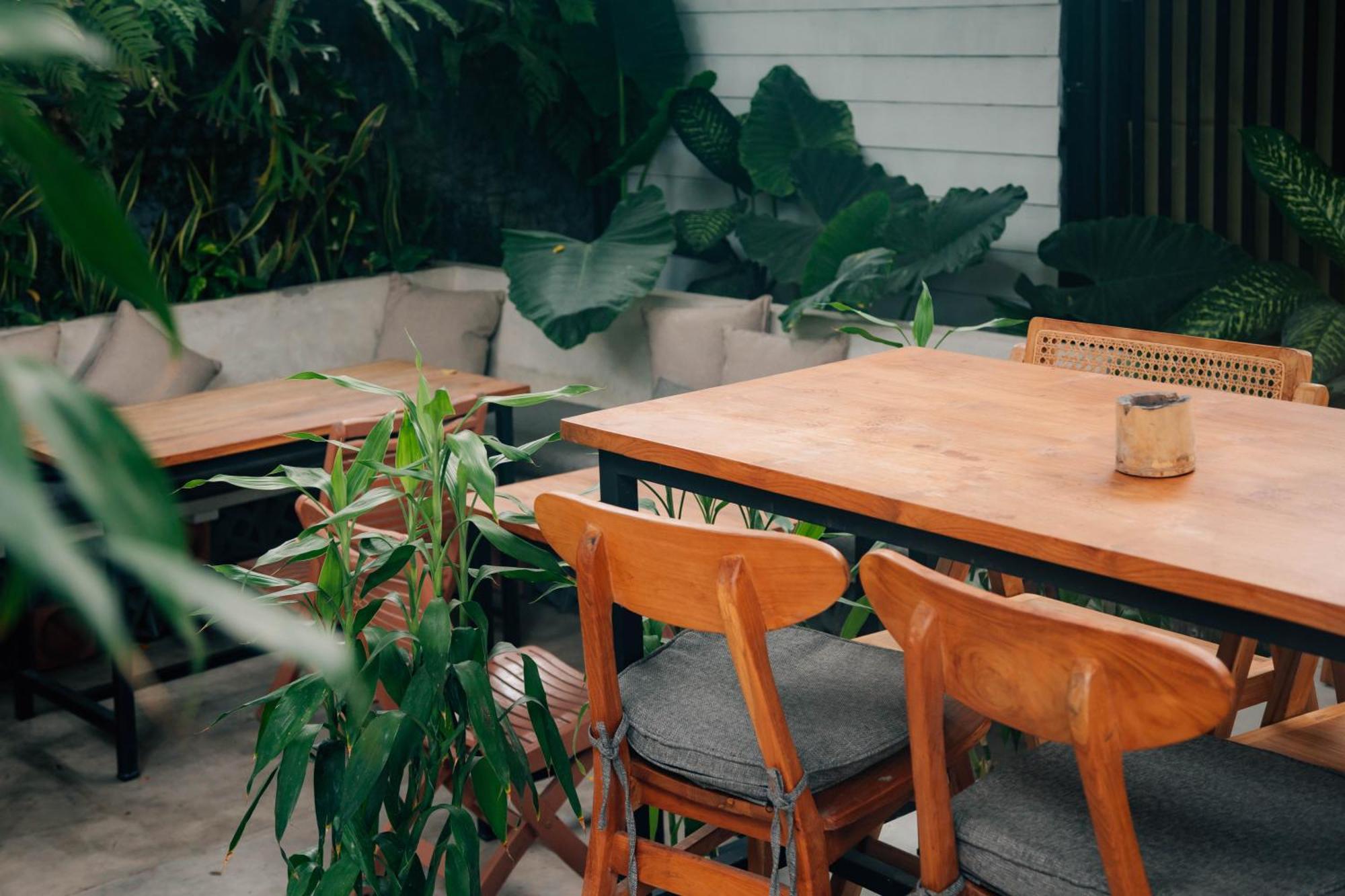 The Jungle Hostel Canggu Exteriér fotografie