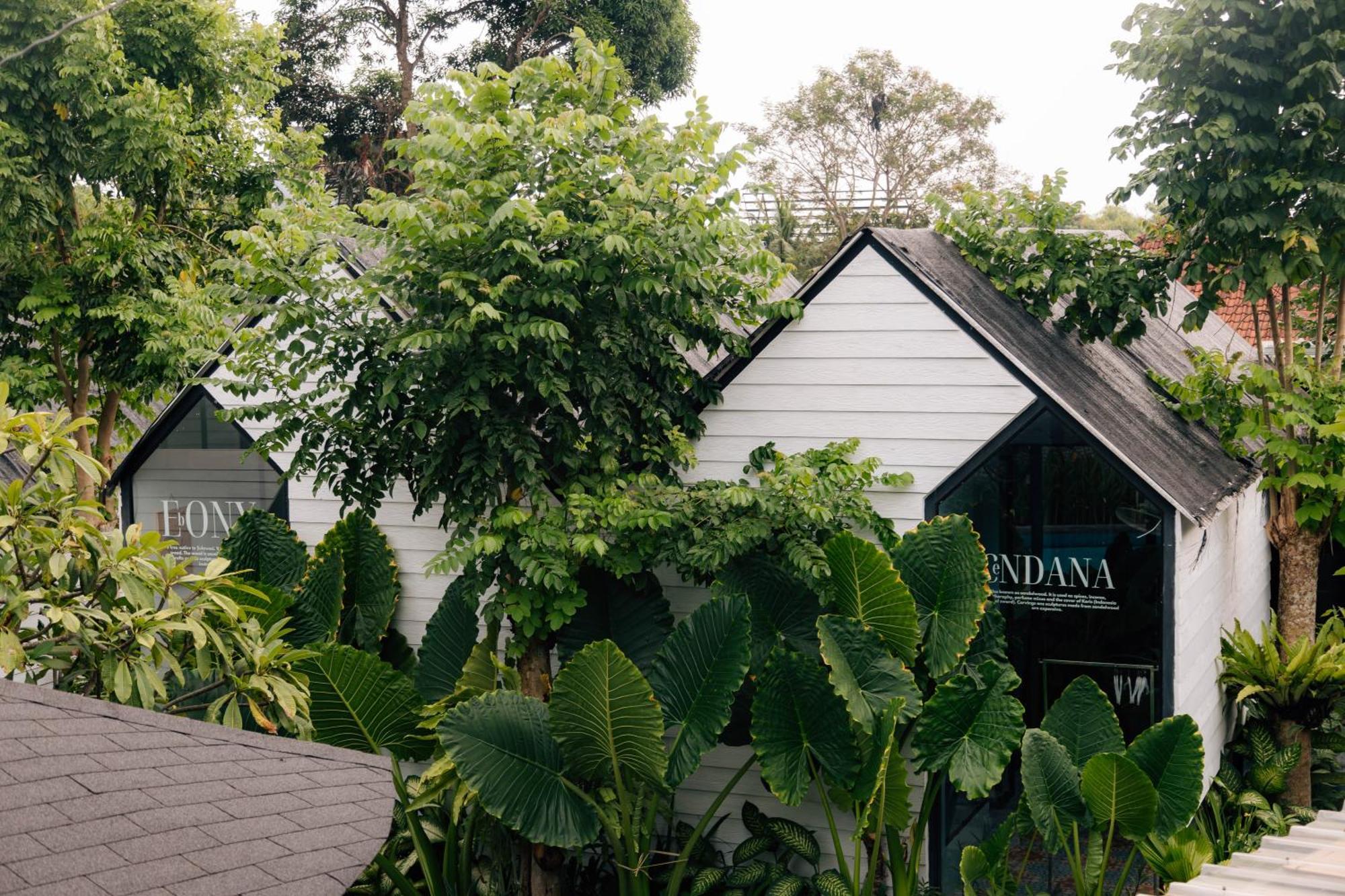 The Jungle Hostel Canggu Exteriér fotografie