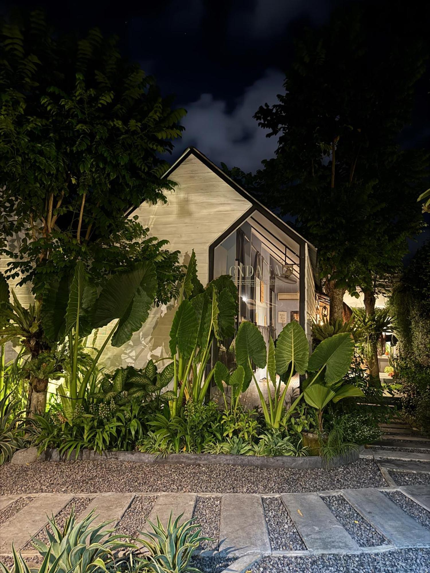 The Jungle Hostel Canggu Exteriér fotografie