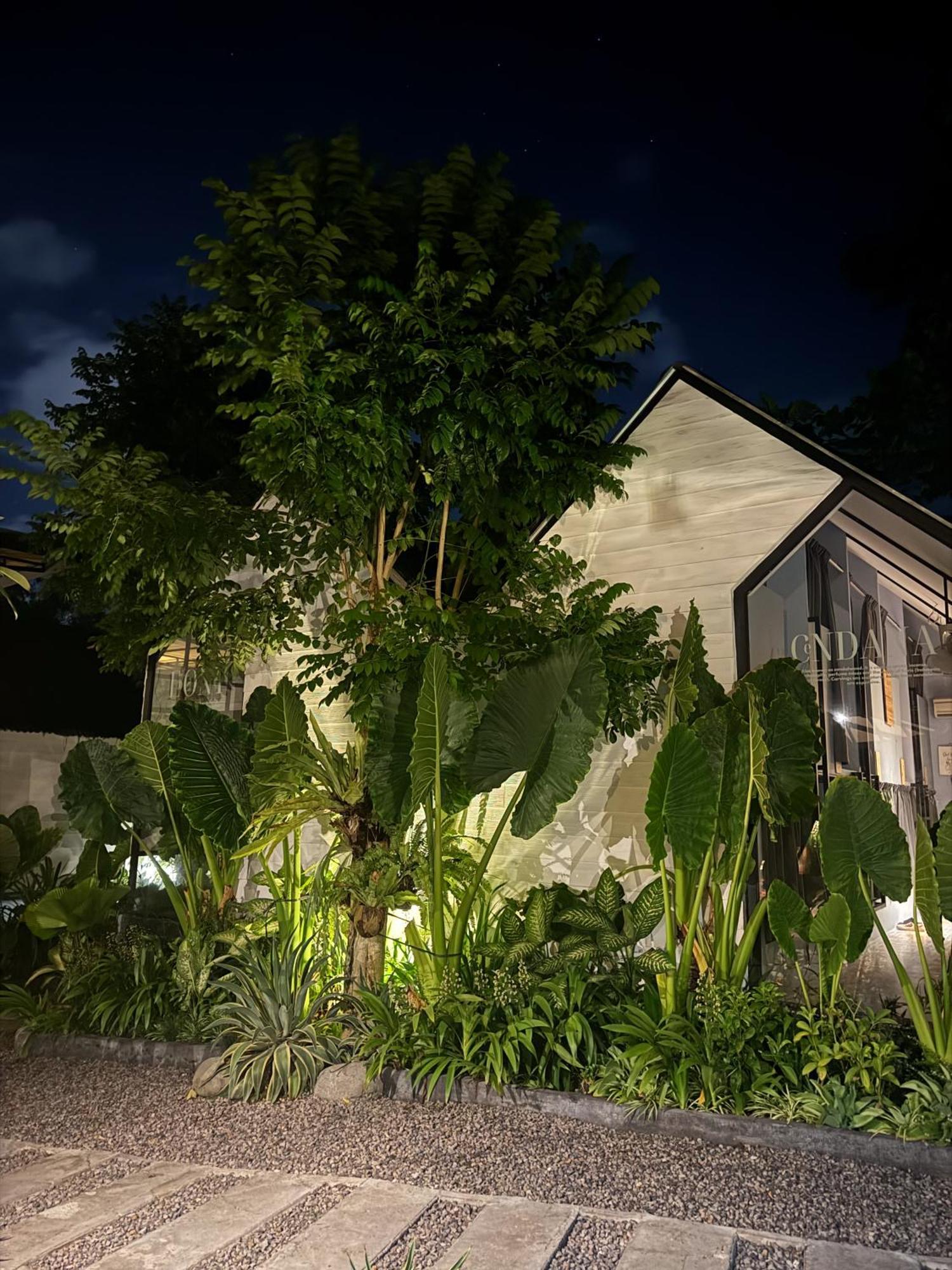 The Jungle Hostel Canggu Exteriér fotografie