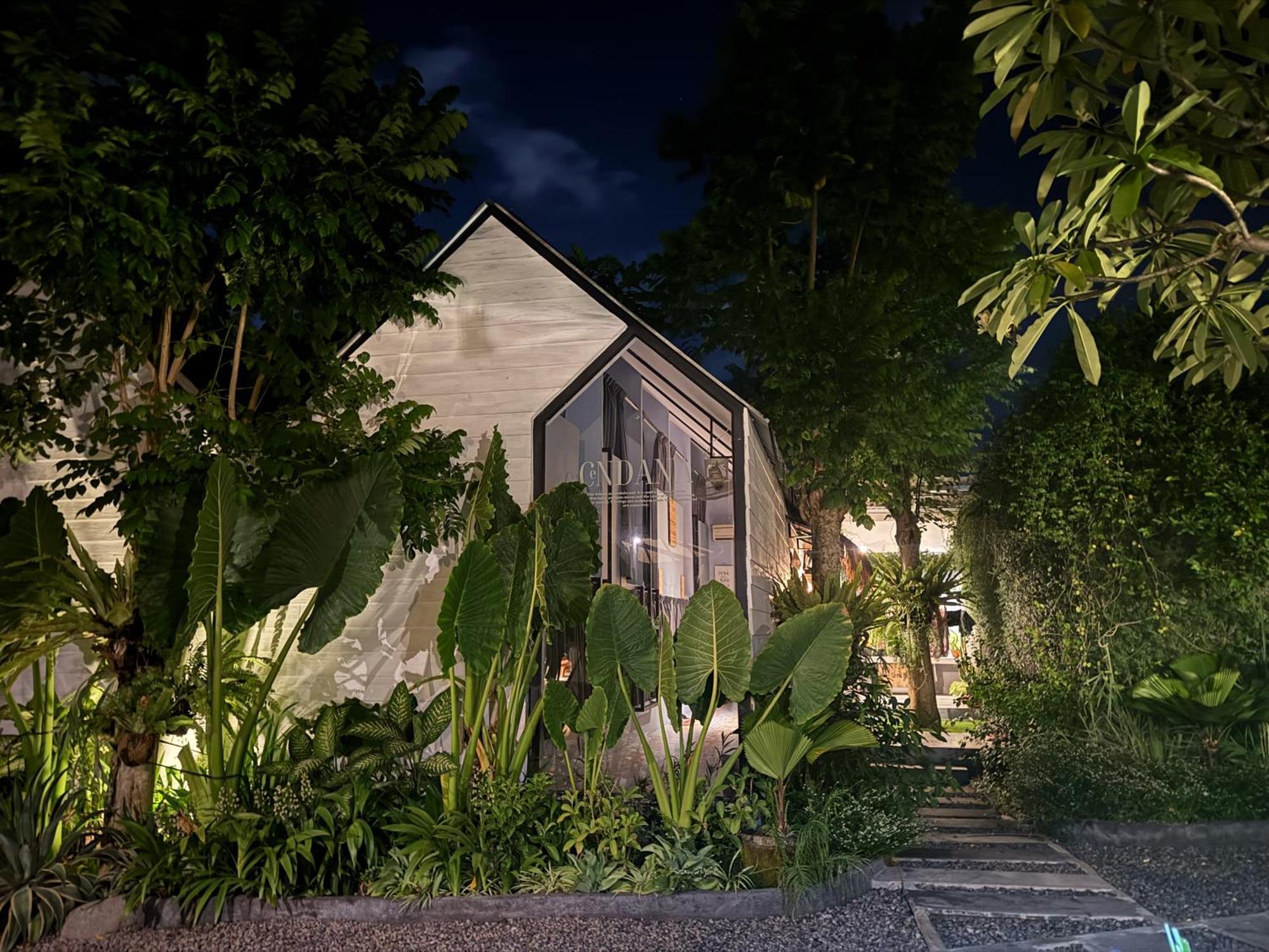 The Jungle Hostel Canggu Exteriér fotografie